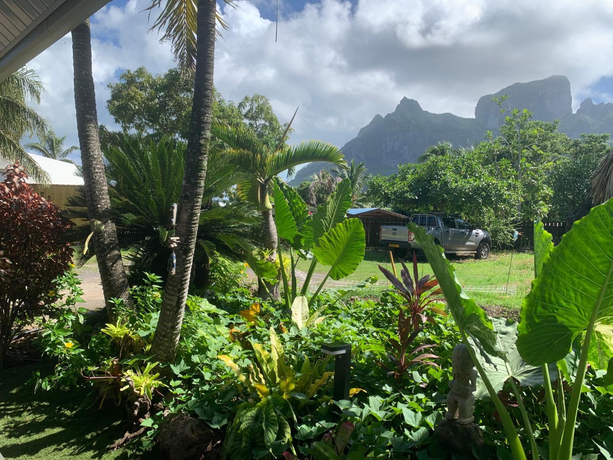Tiki Ora Lodge - Tiki Bora Bora Extérieur photo